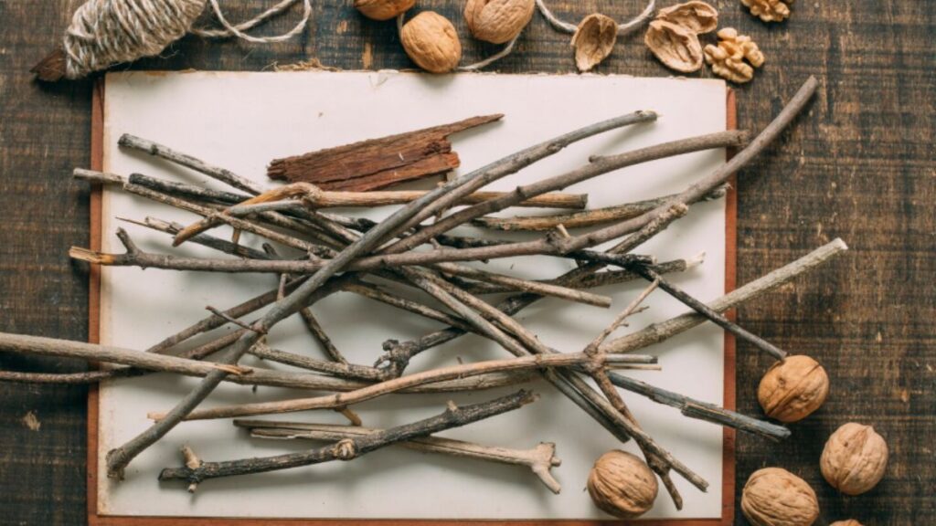 The Evolution of Bardoek: From Ancient Roots to Modern Tables