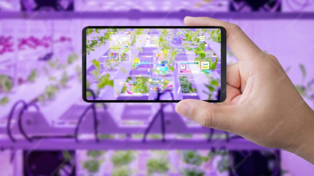 The Rise of Coyyn: How It’s Changing the Digital Landscape