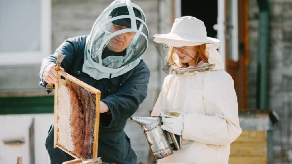 Meet Beekeeper 2.0: The Tech-Savvy Keeper Transforming Bee Conservation
