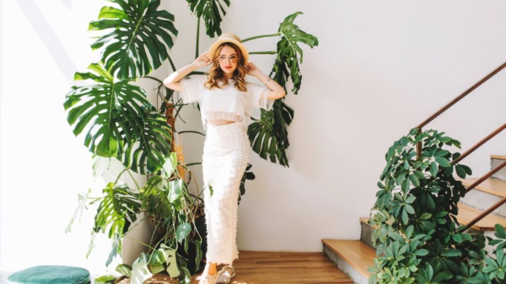 Transform Your Space: How Suçculents Can Brighten Up Any Room