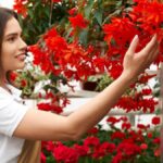 Why Dipladenia is the Perfect Plant for Your Home Garden